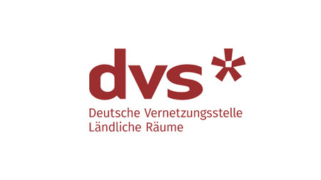 DVS-Logo Buchstaben in rot mit Sternchen