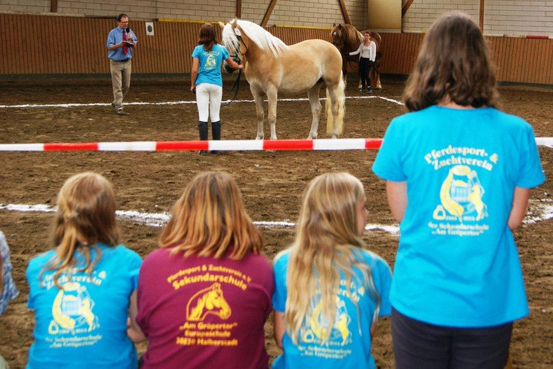 Reiten